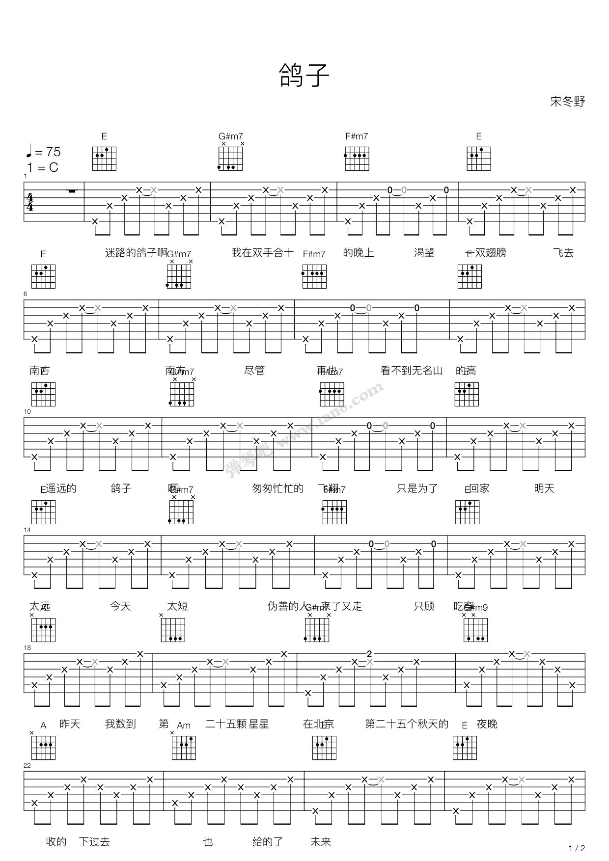 >> 流行 >> 宋冬野 >>鸽子(e调吉他弹唱谱)